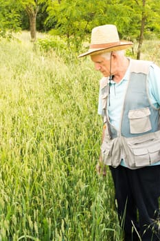 Farmer inspecting green wheat field on the sunny day