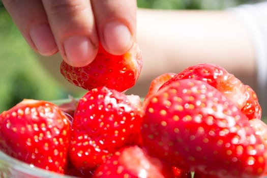 Woman hand picking strawberries from glass bowl