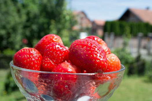Glass bowl full of fresh strawberries  with blurred background