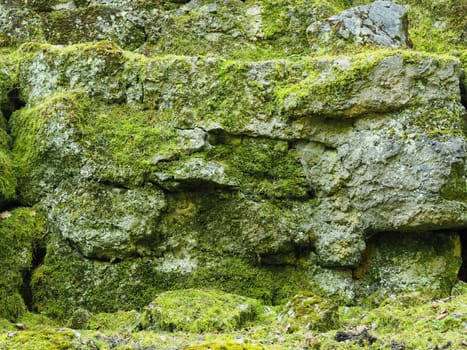 Natural background of rocks with moss