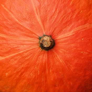 Texture background of a hokkaido pumpkin, view from above