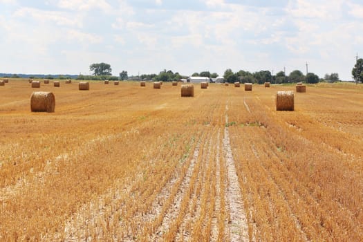 The haystacks on a slant sunny field and a farm on the horizon
