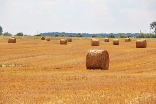 The haystacks on a slant sunny field