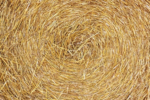 The swirl haystack texture background in the daylight