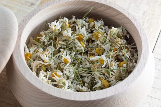 Dried chamomile flowers in wooden bowl placed on rustic table