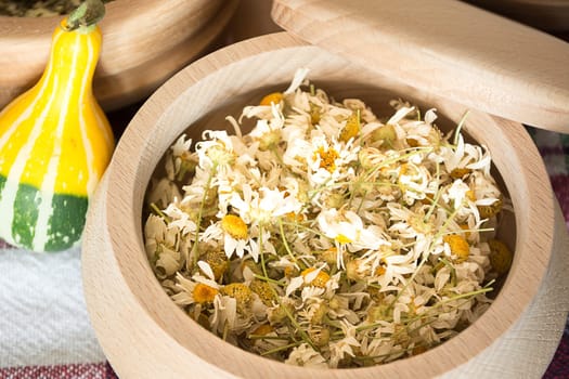Dried chamomile flowers in wooden bowl placed on rustic table with decorative pumpkin