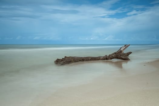 Darßer Weststrand