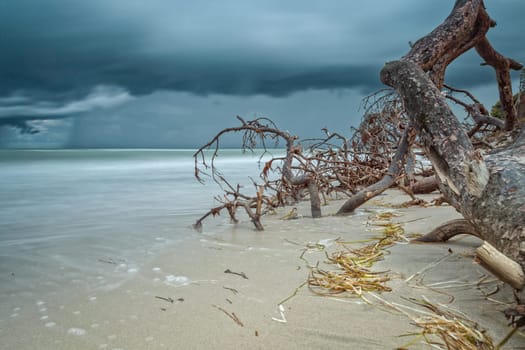 Darßer Weststrand