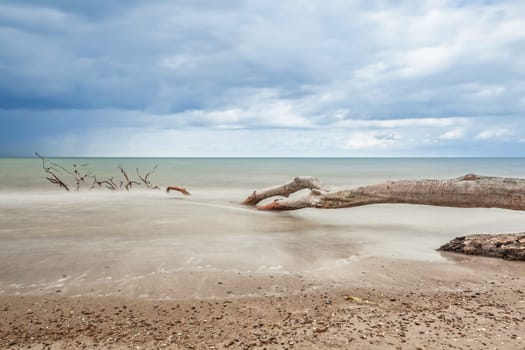 Darßer Weststrand