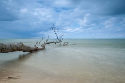Darßer Weststrand