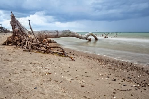 Darßer Weststrand