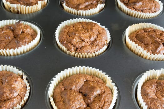 Just baked sweet chocolate cupcakes still in bake tray.