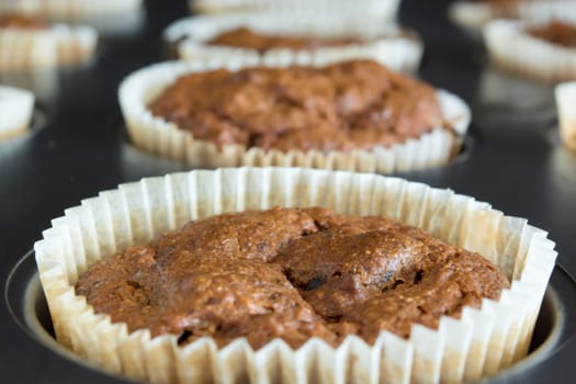 Just baked sweet chocolate cupcakes still in bake tray.