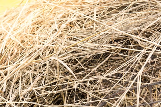Closeup of haystak on a sunny day. Agricultural scene