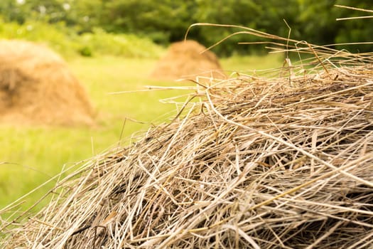 Closeup of haystak on a sunny day. Agricultural scene
