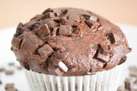 Isolated sweet chocolate cupcake in white plate. Plate and cupcakes are covered with chocolate crumbs