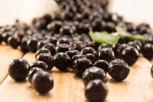 Fresh and tasty aronia spilled out of a bowl. Water droplets on fruit are visible