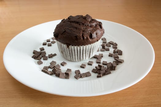 Isolated sweet chocolate cupcake in white plate. Plate and cupcakes are covered with chocolate crumbs