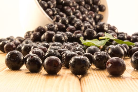 Fresh and tasty aronia spilled out of a bowl. Water droplets on fruit are visible