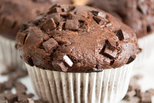 Chocolate cupcakes in white plate covered with chocolate crumbs.