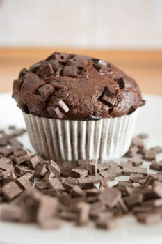 Isolated sweet chocolate cupcake in white plate. Plate and cupcakes are covered with chocolate crumbs