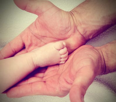daddys hands and babys foot in front in vintage look