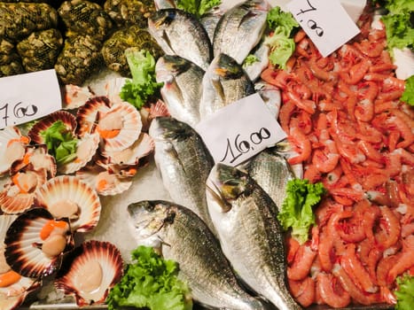 Venetian fish market - dorados and prawns. The Rialto fish market is located alongside the Grand Canal near the Rialto Bridge - Venice, Italy
