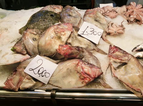 Venetian fish market - fish and octopus. The Rialto fish market is located alongside the Grand Canal near the Rialto Bridge - Venice, Italy