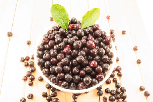 Fresh and tasty aronia spilled out of a bowl. Water droplets on fruit are visible