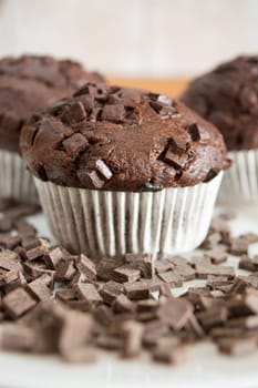 Chocolate cupcakes in white plate covered with chocolate crumbs.