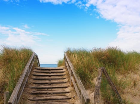 European beach with dune grass, blue sky with cloud shapes on a sunny day