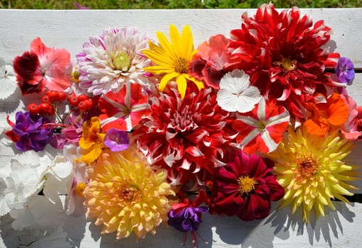 colorful floral background on white wood