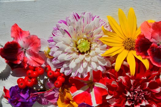 colorful floral background on white wood
