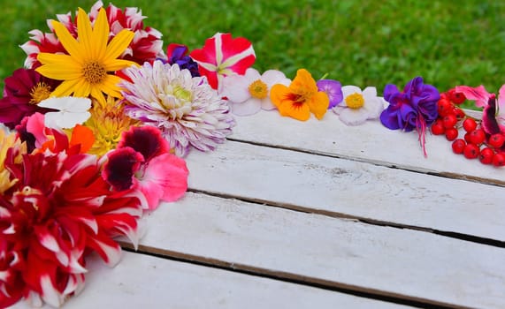 colorful floral background on white wood