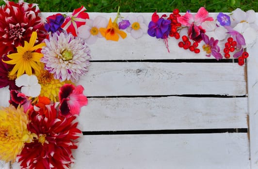 colorful floral background on white wood
