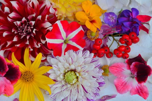 colorful floral background on white wood