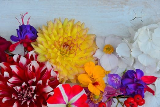 colorful floral background on white wood