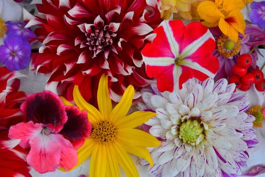 colorful floral background on white wood