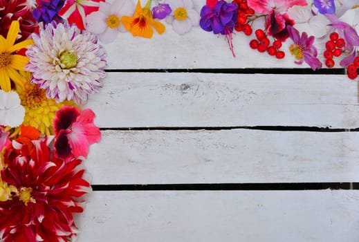 colorful floral background on white wood