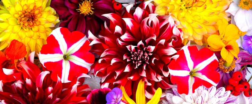 colorful floral background on white wood
