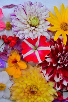 colorful floral background on white wood