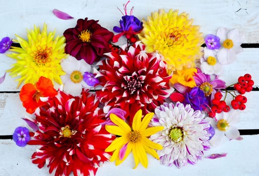 colorful floral background on white wood