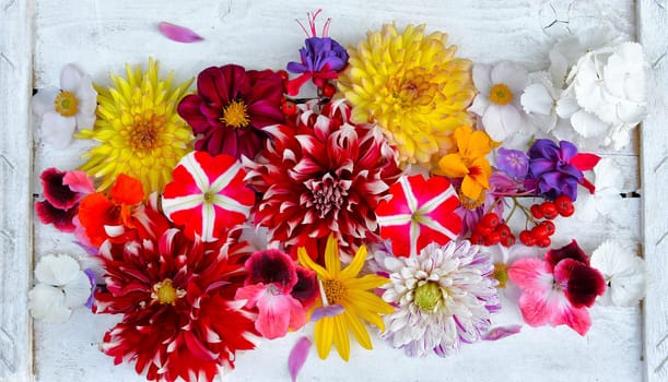 colorful floral background on white wood