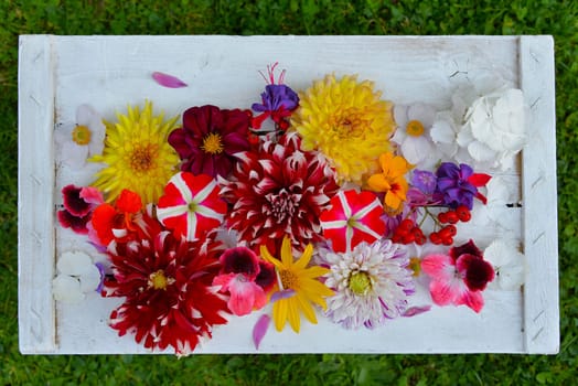 colorful floral background on white wood