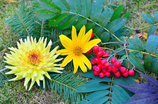 Autumn Decoration Garden Leaves and Flowers