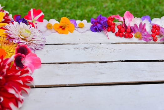 colorful floral background on white wood