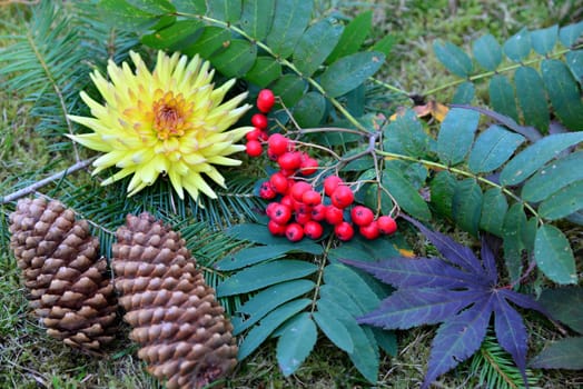 Autumn Decoration Garden Leaves and Flowers