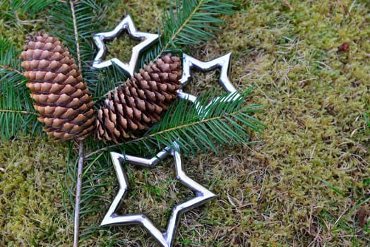 Christmas stars natural decoration on white wood background