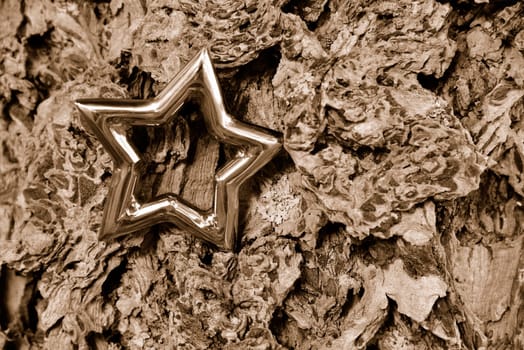 Christmas stars natural decoration on white wood background