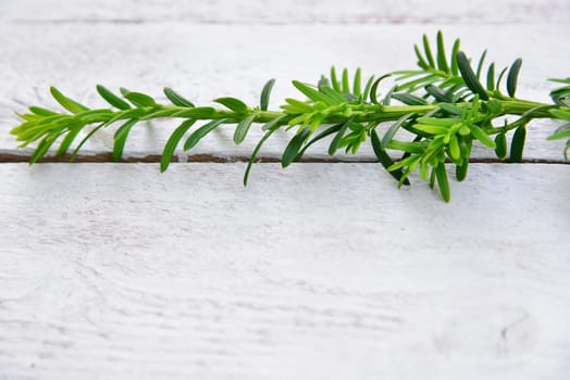 Christmas stars natural decoration on white wood background